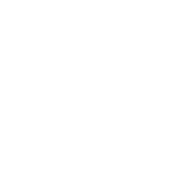 Icone 70 Icon 70