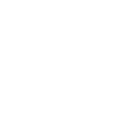 Icone 70 Icon 70